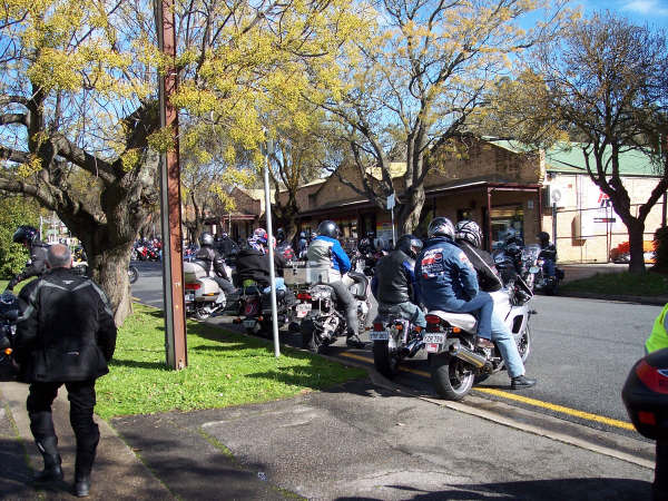 Photo Courtesy of Kelvin