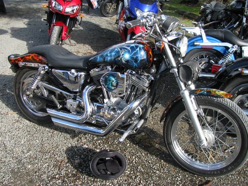 Photo courtesy of Del from RidingSA