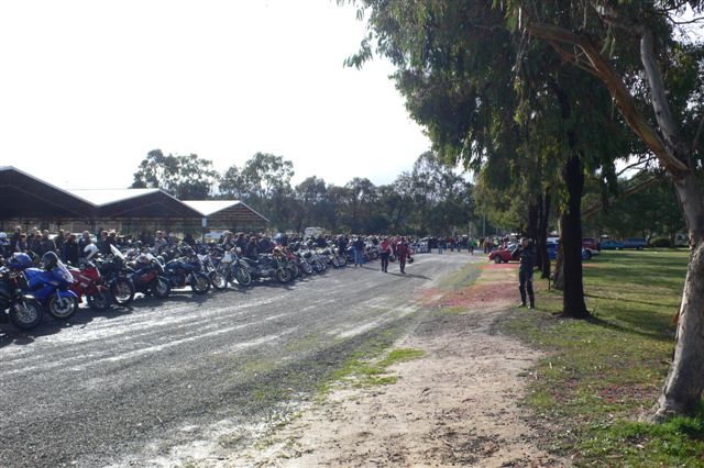 Photo courtesy Of Sonya.