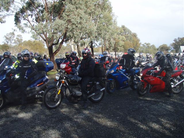 Photo courtesy Of Sonya.