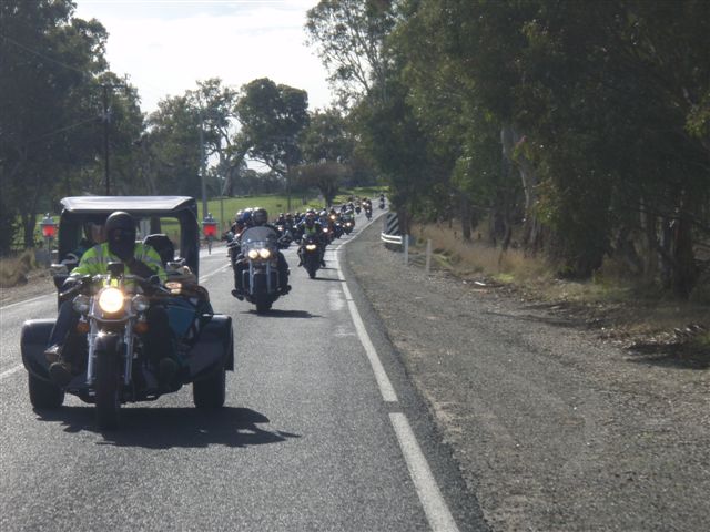 Photo courtesy Of Sonya.