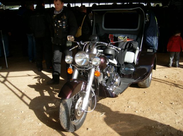 Photo Courtesy of Steve