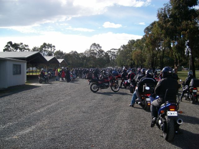 Photo Courtesy of Steve