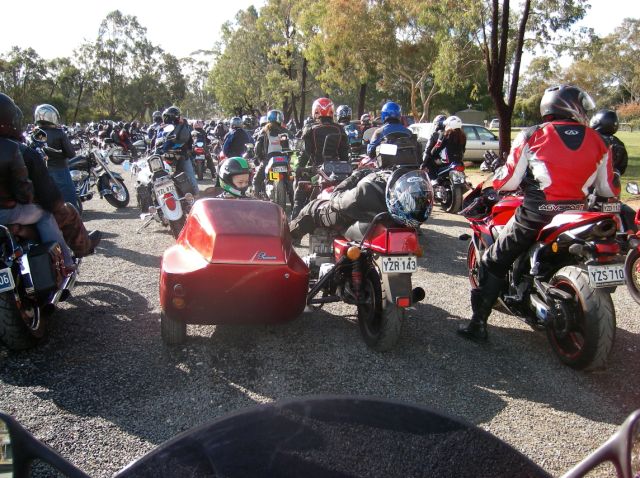 Photo Courtesy of Steve