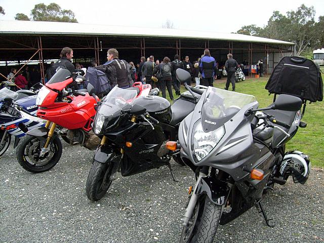 Photo Courtesy of Shannon