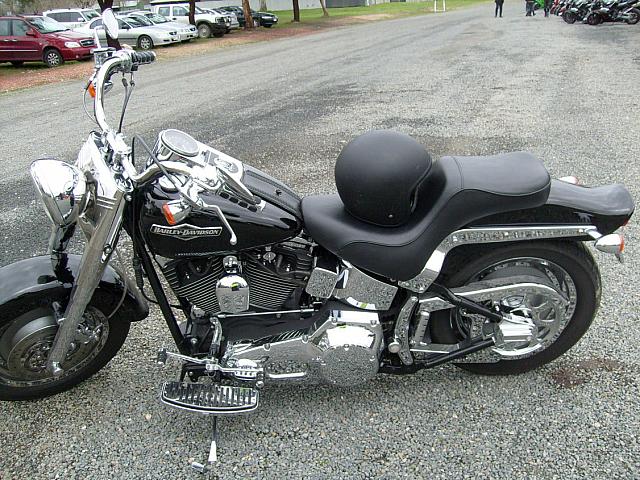 Photo Courtesy of Shannon