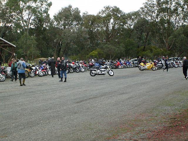 Photo Courtesy of Shannon