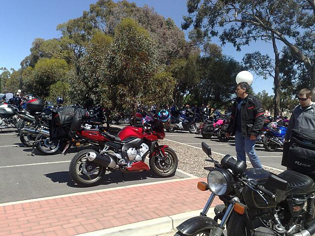 Photo courtesy of Tony.