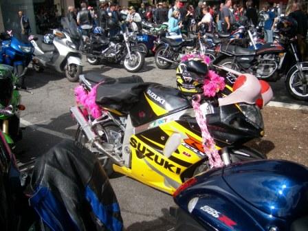 Photo courtesy of Steve.