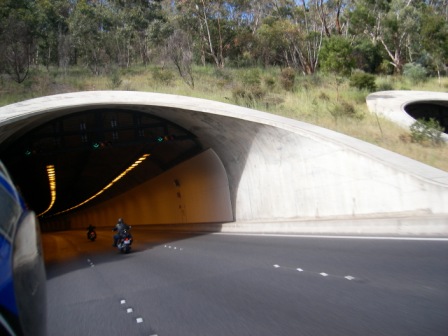 Photo courtesy of Steve.