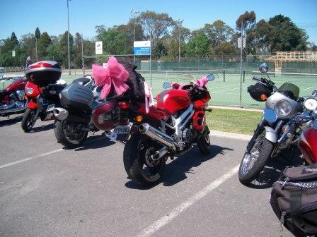 Photo courtesy of Steve.