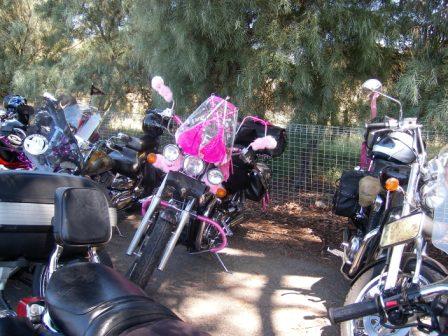 Photo courtesy of Steve.