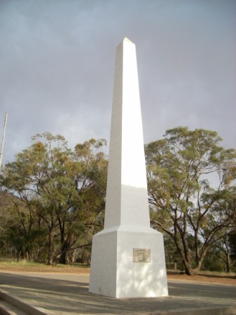 Photo courtesy of Steve