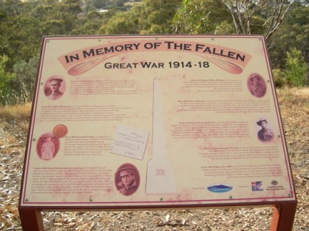 Photo courtesy of Steve