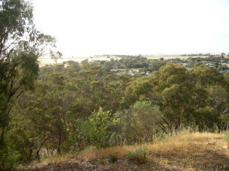 Photo courtesy of Steve