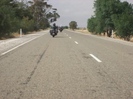 Photo courtesy of Steve