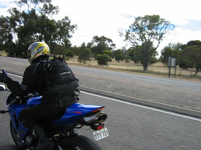 Photo courtesy of Bubbles & Dash