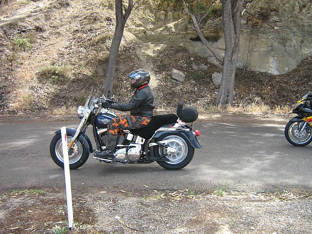 Photo courtesy of Bubbles & Dash