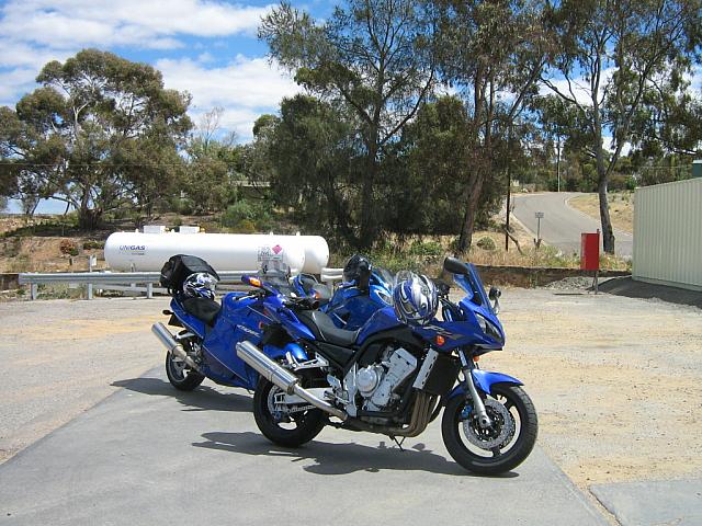 Photo courtesy of Bubbles & Dash