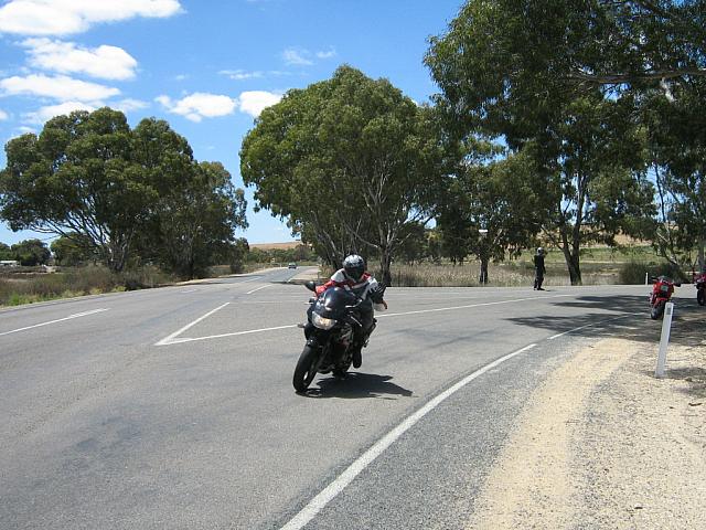 Photo courtesy of Bubbles & Dash