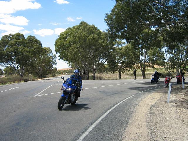 Photo courtesy of Bubbles & Dash