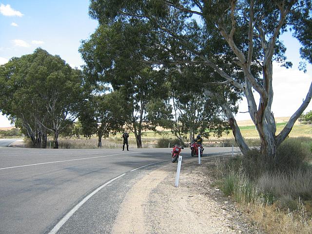 Photo courtesy of Bubbles & Dash