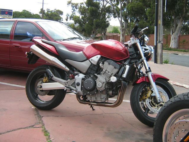 Photo courtesy of Bubbles and Dash.