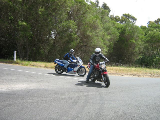 Photo courtesy of Bubbles and Dash.