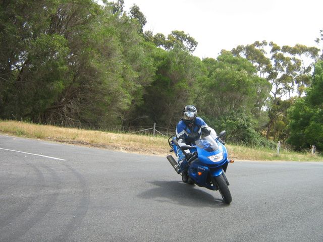 Photo courtesy of Bubbles and Dash.