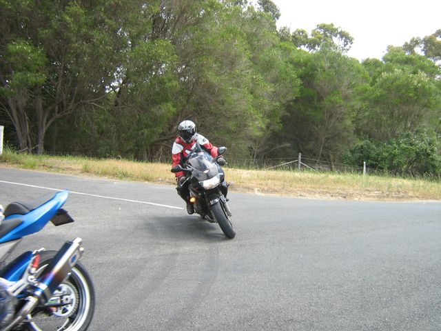 Photo courtesy of Bubbles and Dash.