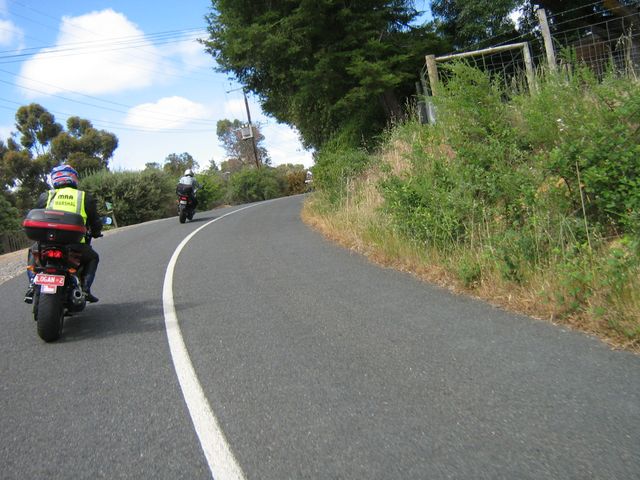 Photo courtesy of Bubbles and Dash.