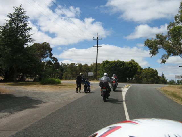 Photo courtesy of Bubbles and Dash.