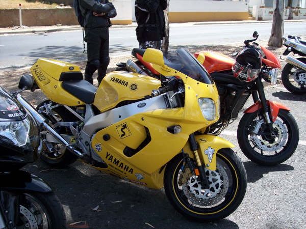 Photo Courtesy of Kelvin