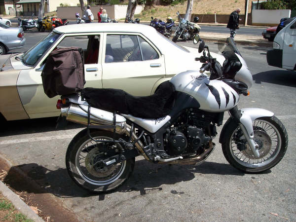 Photo Courtesy of Kelvin