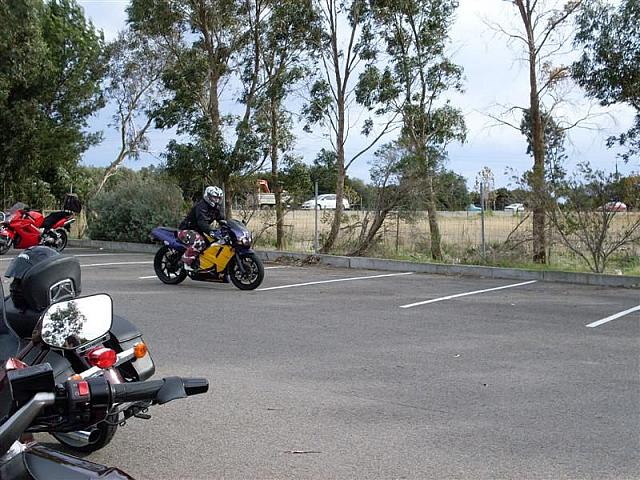 Photo courtesy of Shannon