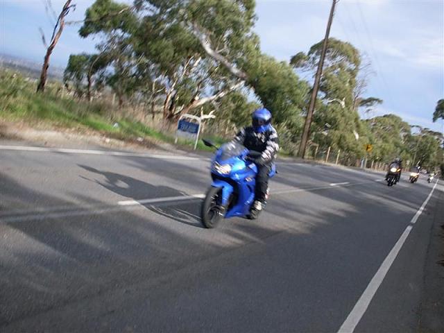 Photo courtesy of Shannon