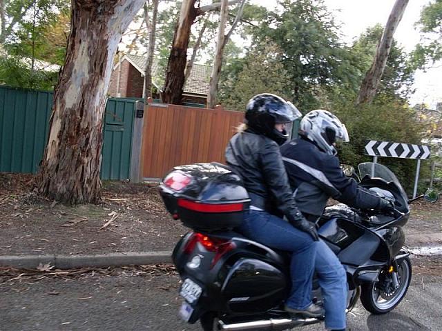 Photo courtesy of Shannon