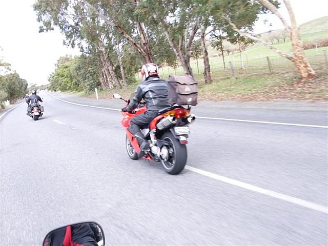 Photo courtesy of Shannon