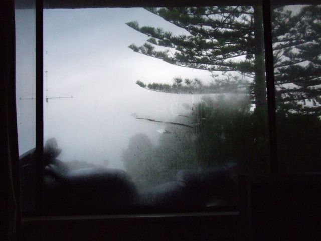 Photo courtesy of Paul