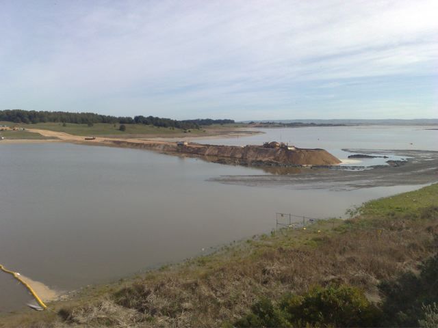 Photo courtesy of Nasef