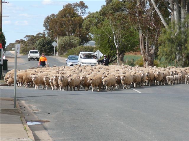 Photo courtesy of ChrisZ.