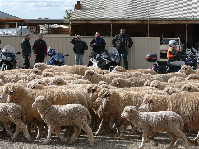 Photo courtesy of ChrisZ.