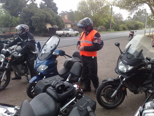 Photo courtesy of Nasef.