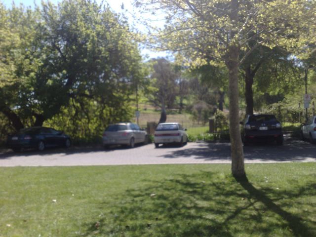 Photo courtesy of Nasef.