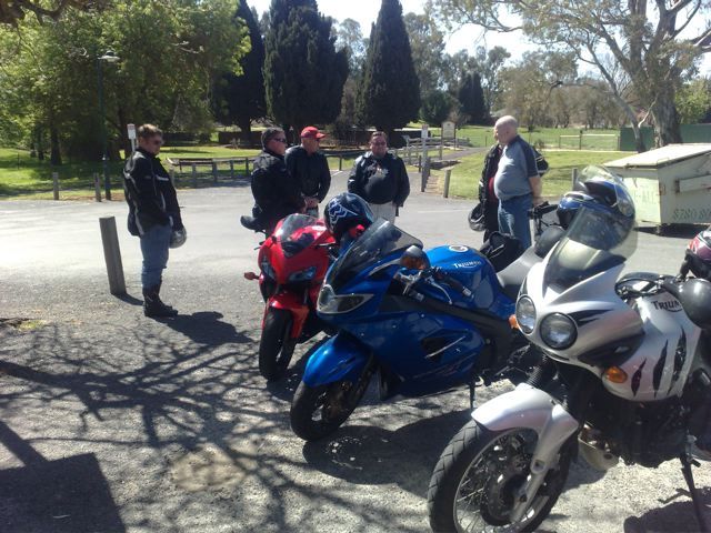 Photo courtesy of Nasef.