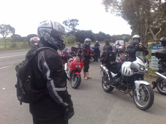 Photo courtesy of Nasef.