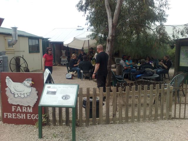 Photo courtesy of Nasef.