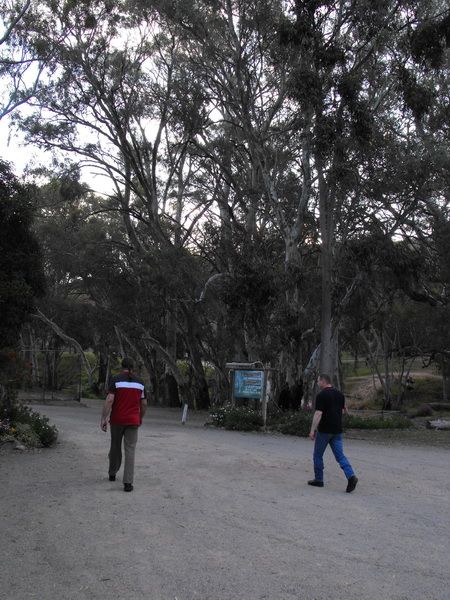 Photo courtesy of Kaye