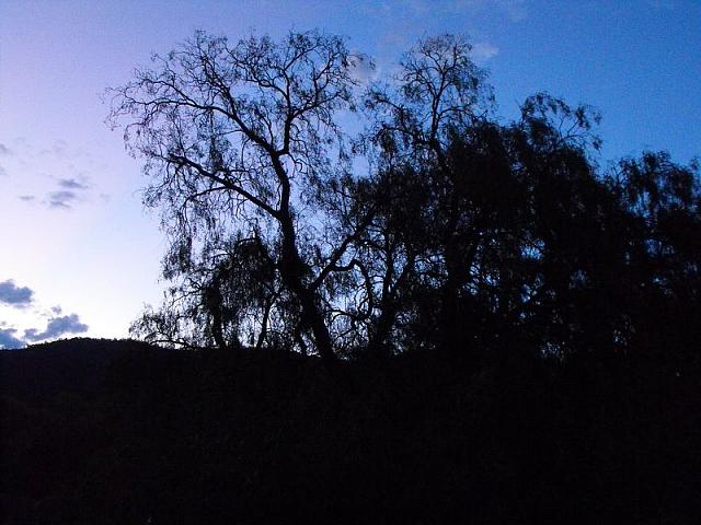 Photo courtesy of Kaye