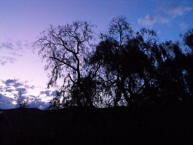 Photo courtesy of Kaye